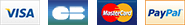 payment.png